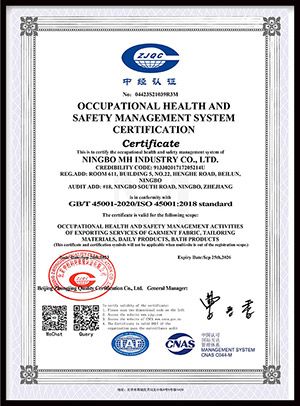 ISO 45001:2018 Occupational Health and Safety Management Systems